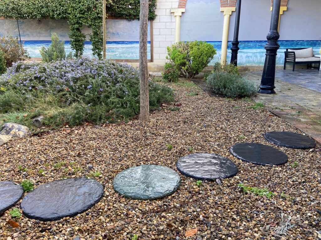 Plantas para jardín de grava y piedra natural.