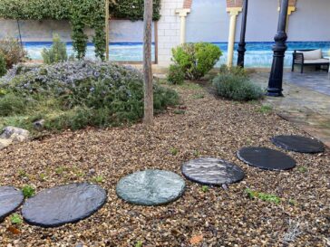 Plantas para jardín de grava y piedra natural.